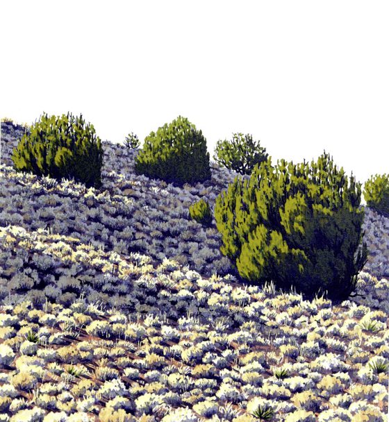 吴伟才／墨西哥的亮丽反差