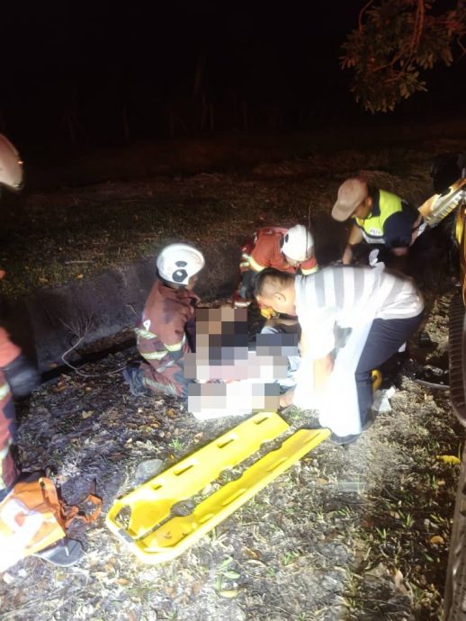 四轮驱动车撞树 4印裔当场毙命