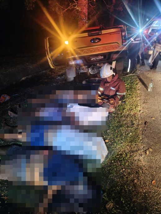 四轮驱动车撞树 4印裔当场毙命