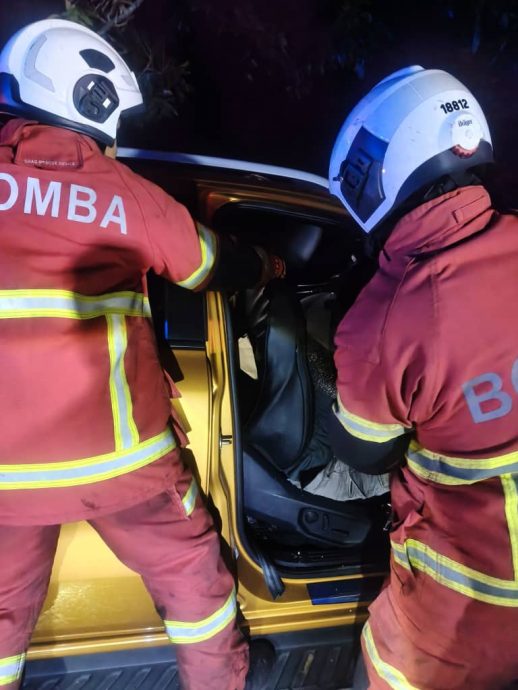 四轮驱动车撞树 4印裔当场毙命