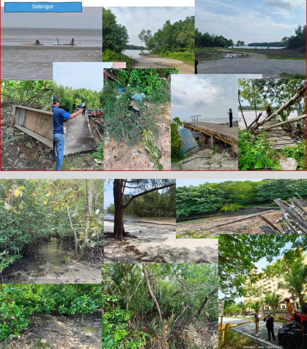 国防大学揭非法移民猖獗 老鼠巷象道没人管 非法移民自设学校 应重启国家特工队整合政府力量执法