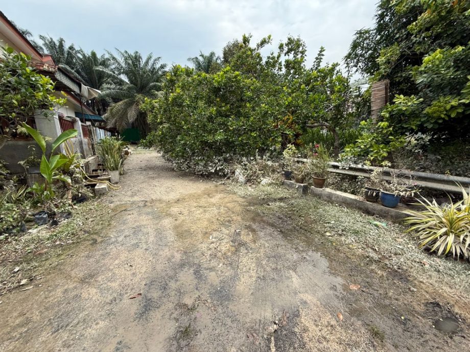 士毛月英达花园淹水 蓄洪池淤泥堵塞是祸首