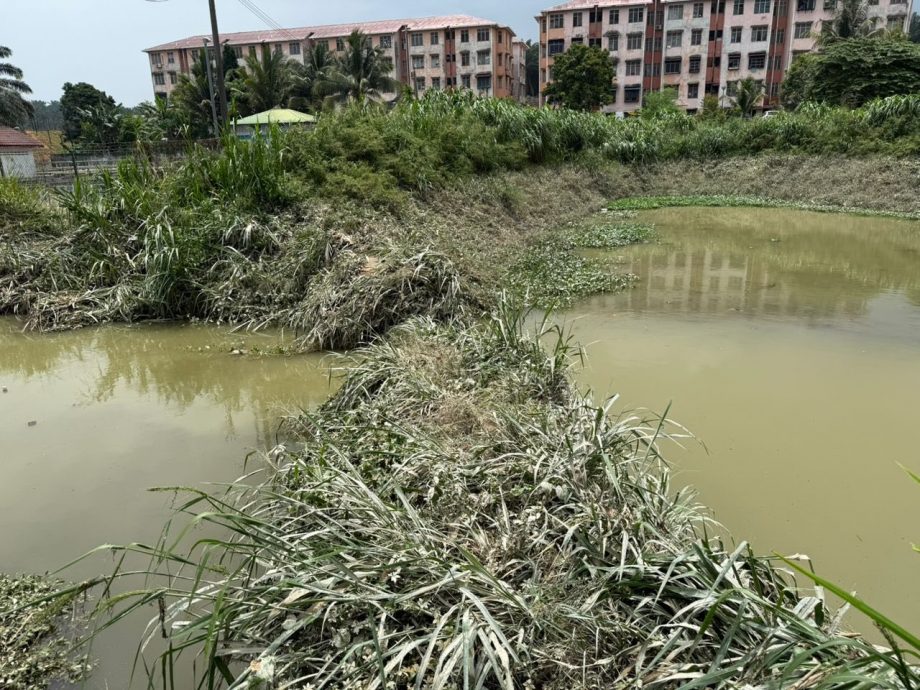 士毛月英达花园淹水 蓄洪池淤泥堵塞是祸首