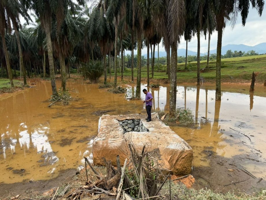 士毛月英达花园淹水 蓄洪池淤泥堵塞是祸首