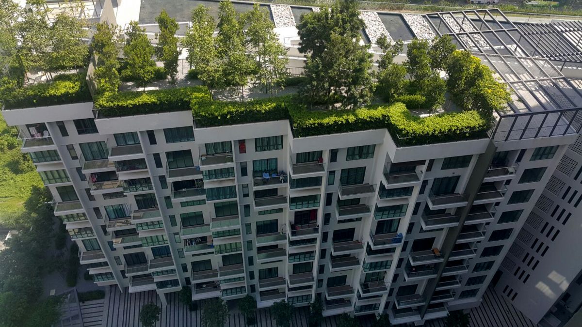 大都会/专访郑宇能/7图