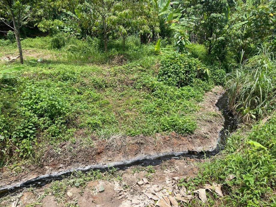 大都会/封面副文/乌冷甘榜双溪德加里出现非法垃圾场