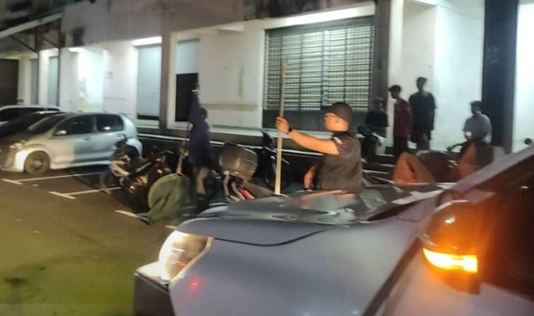 大都会//忧再发伤人事件,市议会捕狗/3图