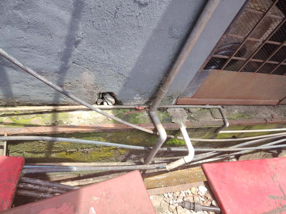 大都会/组屋区沦为外劳区 高空掷垃圾弹 空屋沦为丛林藏蛇窝  