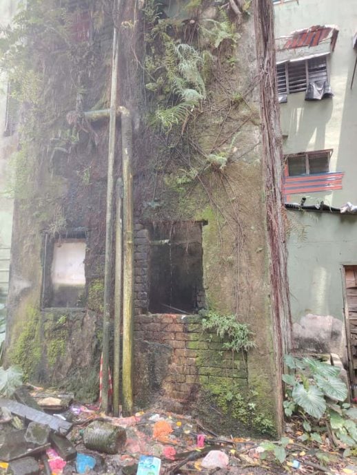 大都会/组屋区沦为外劳区 高空掷垃圾弹 空屋沦为丛林藏蛇窝  