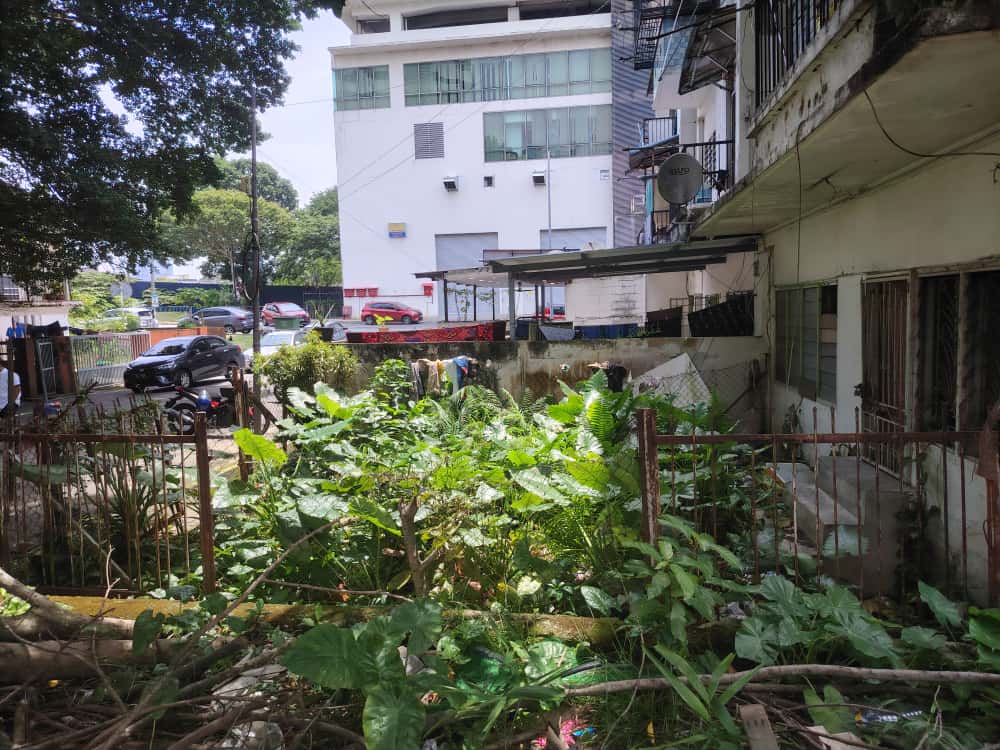 大都会/组屋区沦为外劳区 高空掷垃圾弹 空屋沦为丛林藏蛇窝  