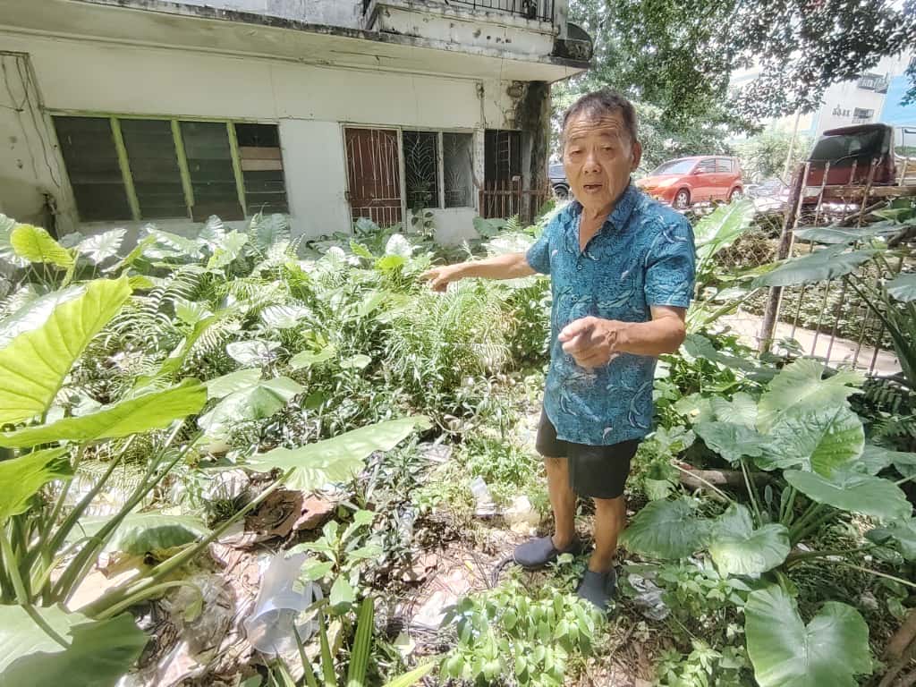 大都会/组屋区沦为外劳区 高空掷垃圾弹 空屋沦为丛林藏蛇窝  
