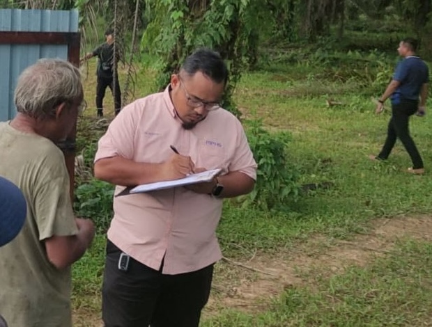  大都会：放养水牛扰民 牧者被罚/4图