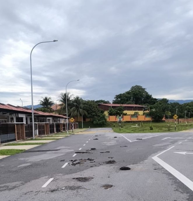  大都会：放养水牛扰民 牧者被罚/4图