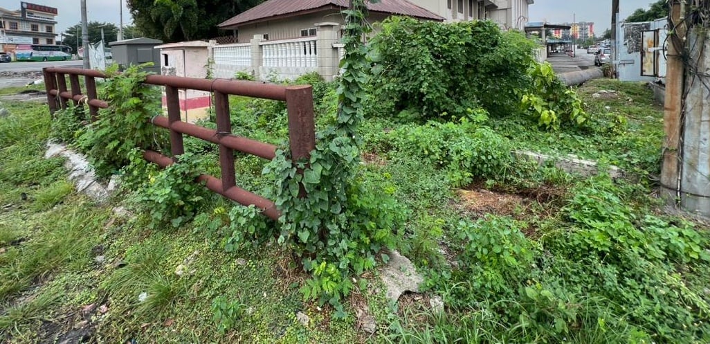 大都会/ME02双头之一/校园周边蟒蛇出没　董事会促市政厅关注