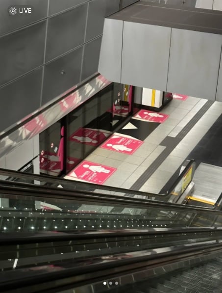 大马3个特别明显的优点? 中游客夸这个“香香的”!