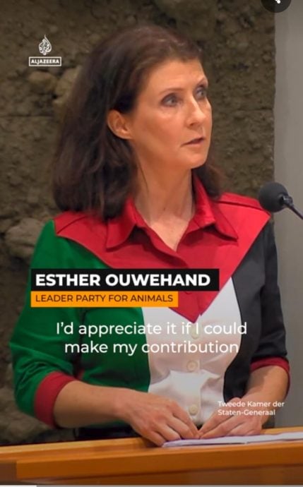  天下事  联大前夕 英加澳葡承认巴勒斯坦国 以强烈反对 美批作秀