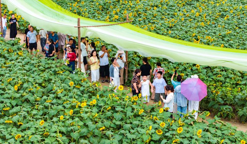 天下事)中秋十一长假期 大马列热门目的地 亚庇成“黑马”