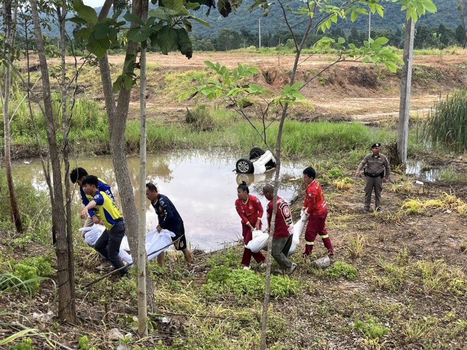 夫妇赴外坡弘扬佛法 牛只拦路车毁人亡