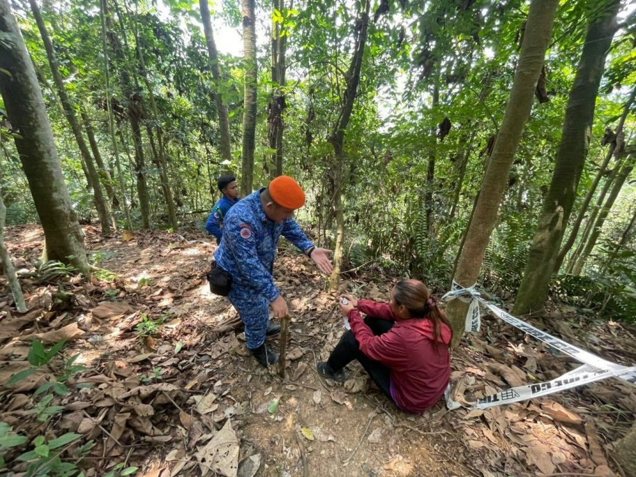女子爬山疑误认野猪为老虎 虚惊一场