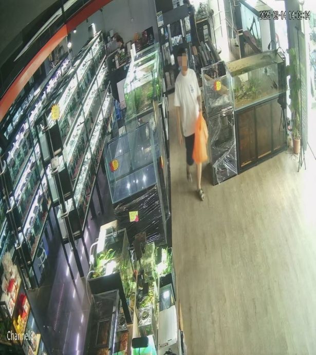 宠物鱼要价1600只付了1.60 业者无奈:鱼走钱也走!