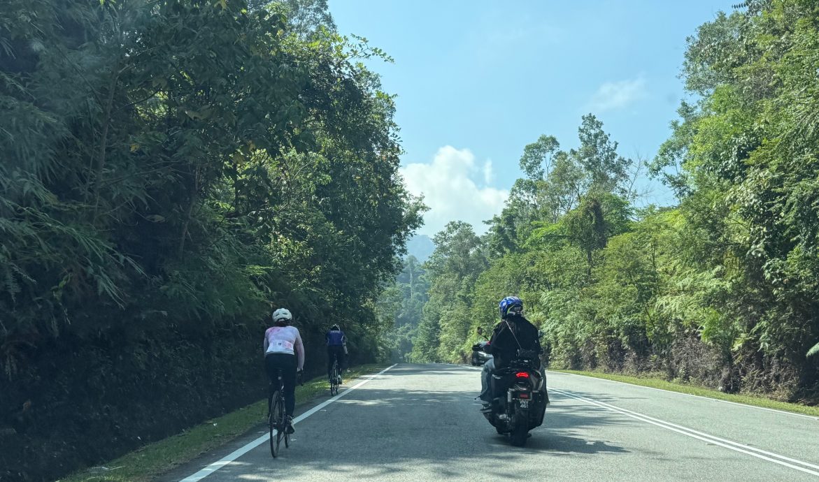 封面-大都会:脚车队云顶山路骑行 轿车司机吓破胆/13图