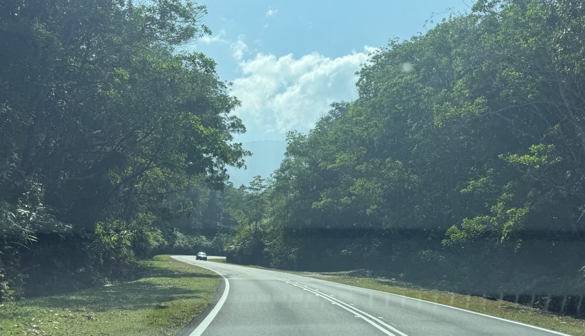 封面-大都会:脚车队云顶山路骑行 轿车司机吓破胆/13图