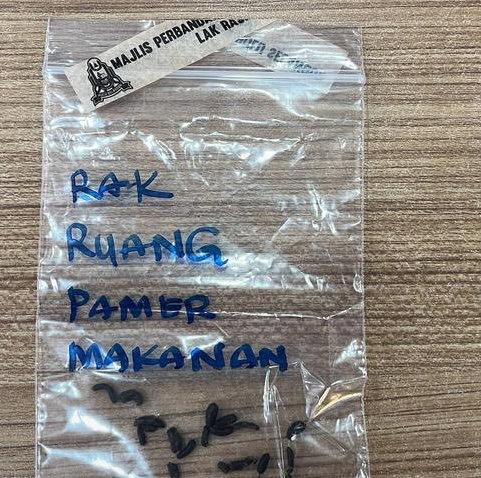 已签发/大都会(版3头):餐馆太脏被罚18750兼封店两周/5图