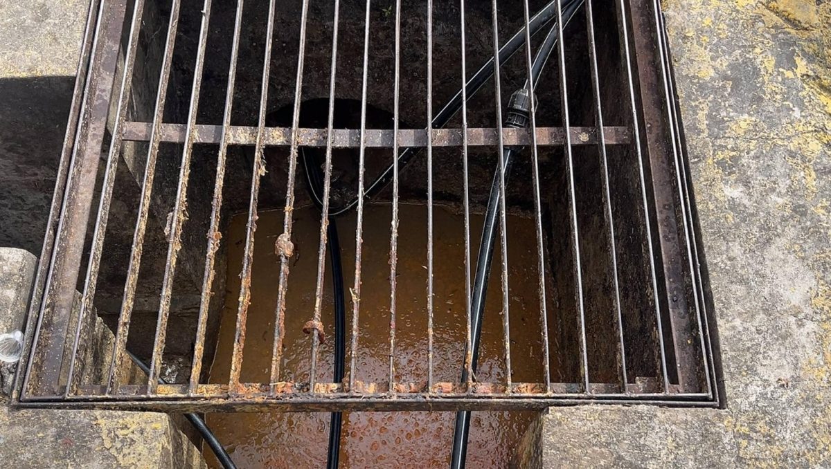 已签发/大都会(版3头):餐馆太脏被罚18750兼封店两周/5图