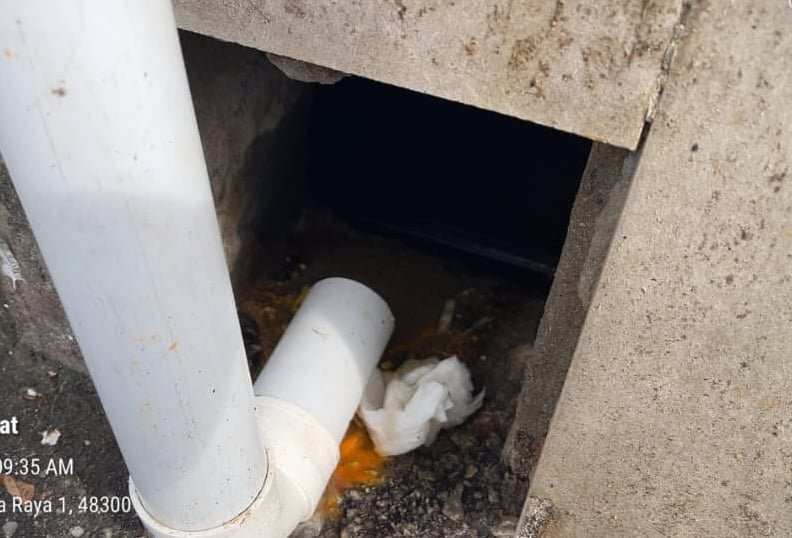 已签发/大都会(版3头):餐馆太脏被罚18750兼封店两周/5图