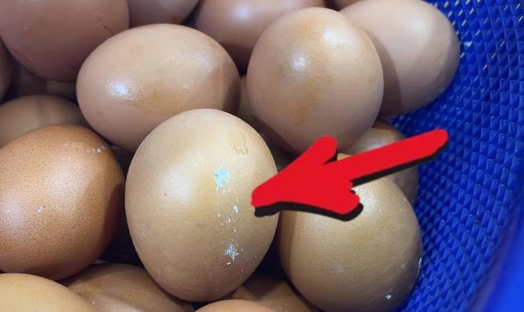 已签发/大都会(版3头):餐馆太脏被罚18750兼封店两周/5图