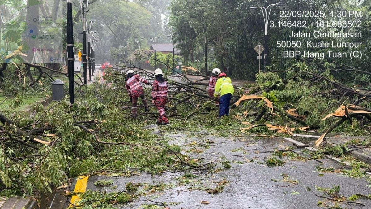 已签发//狂风暴雨致隆17地点风灾倒树·消拯局：无人命伤亡