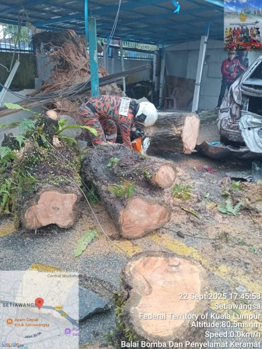 已签发//狂风暴雨致隆17地点风灾倒树·消拯局：无人命伤亡
