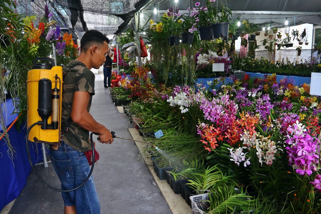 已签发（大北马）林慧英：团结就像兰花 须被悉心培育