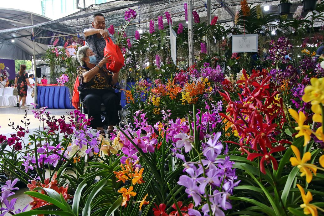 已签发（大北马）林慧英：团结就像兰花 须被悉心培育