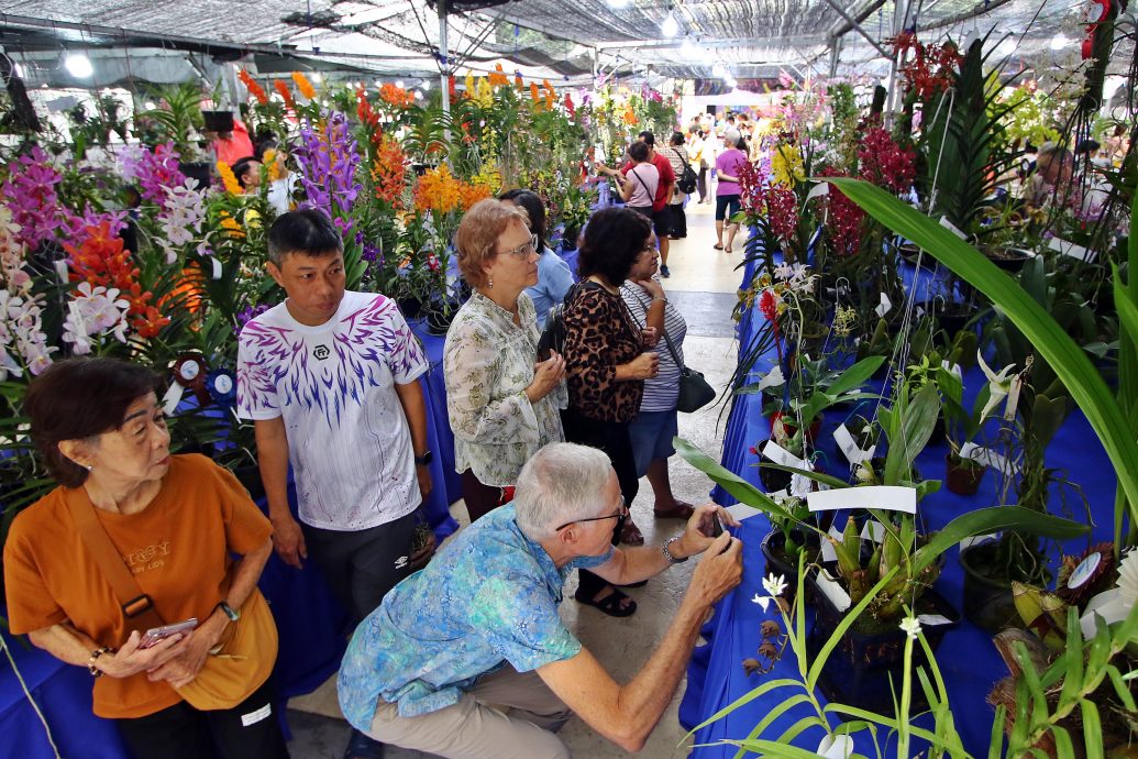 已签发（大北马）林慧英：团结就像兰花 须被悉心培育
