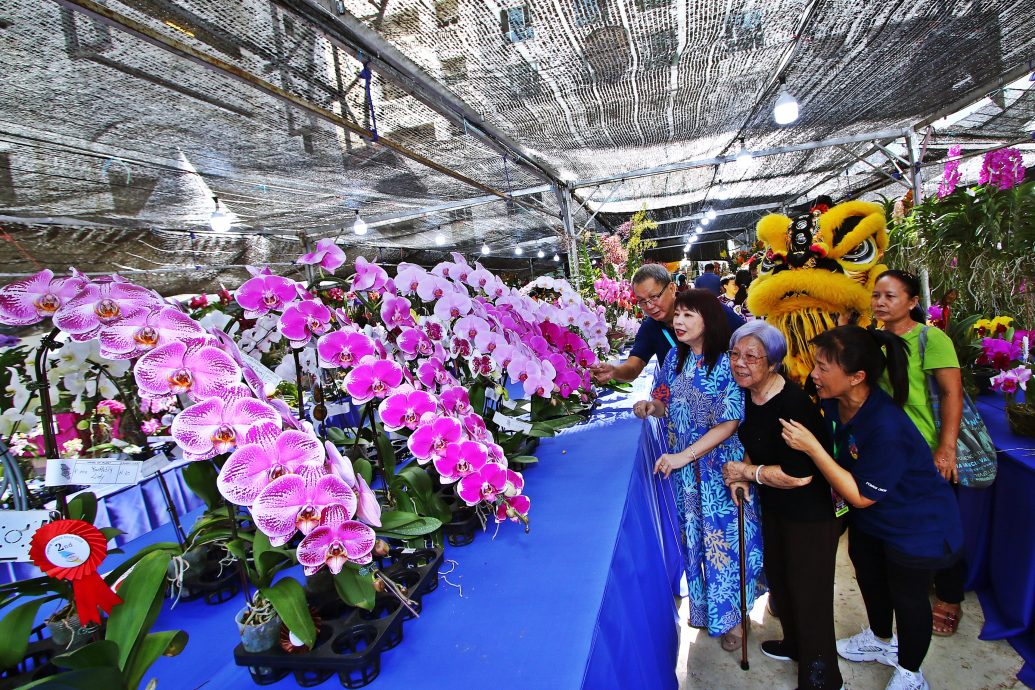 已签发（大北马）林慧英：团结就像兰花 须被悉心培育