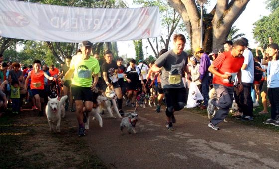 带宠物去宠物展，你是否了解它的意愿？
