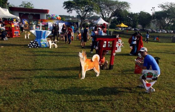 带宠物去宠物展，你是否了解它的意愿？