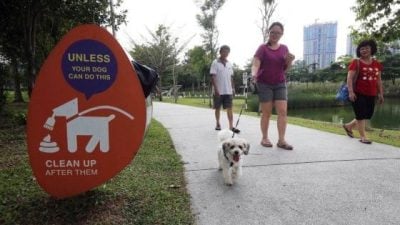 带宠物去宠物展，你是否了解它的意愿？