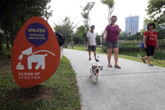 带宠物去宠物展，你是否了解它的意愿？