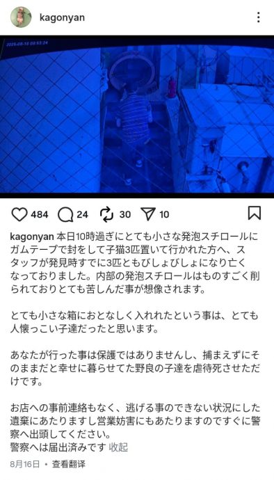 弃养小猫闷死 箱内全是抓痕 店家怒斥“这是犯罪!”