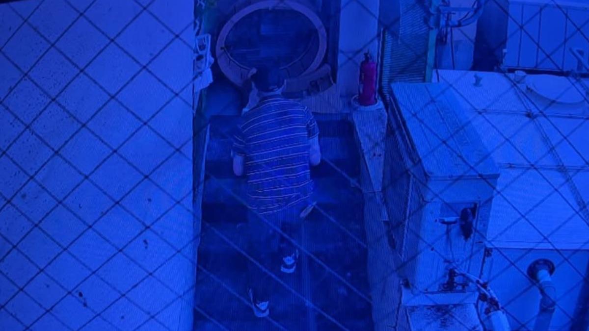 弃养小猫闷死 箱内全是抓痕 店家怒斥“这是犯罪!”