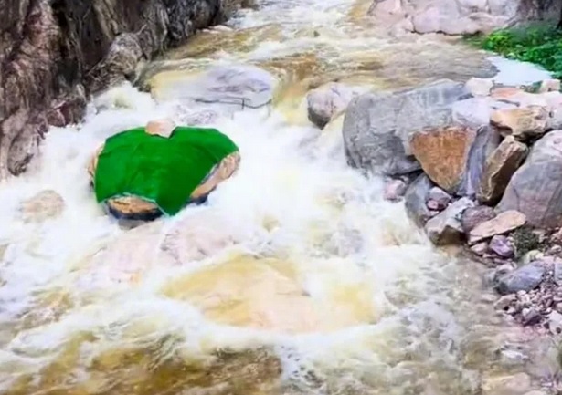 彩绘“巨蛇”从水中探出头 栩栩如生吓坏景区游客