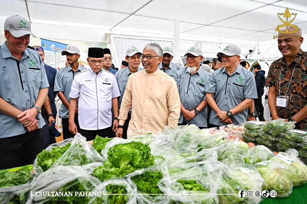 彭苏丹为SMACH农业园开幕 开启金马仑可持续农业