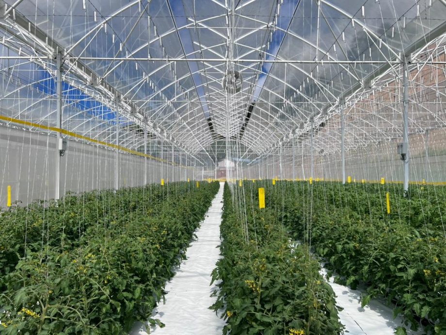 彭苏丹为SMACH农业园开幕 开启金马仑可持续农业