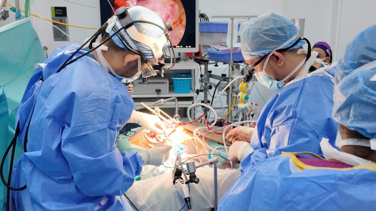 怡保班台医院成功完成 霹首例微创二尖瓣置换手术