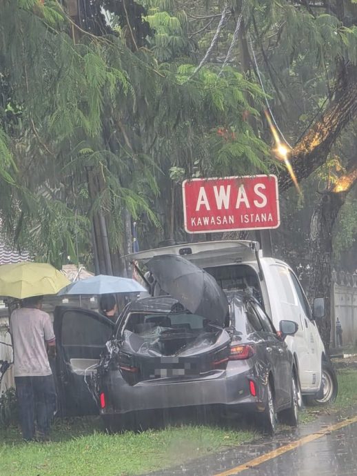 怡市午后狂风暴雨  老虎巷树倒压车