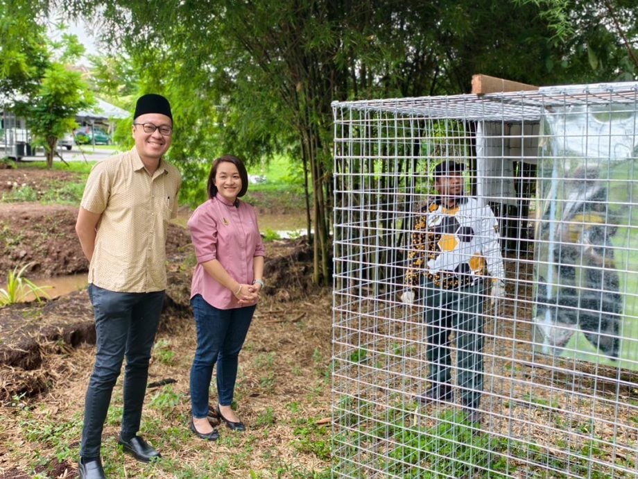 怡翡翠园猴群滋扰居民 设铁网一周捕近50猴