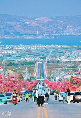 拚图两图)“路尽见海”吸群聚马路打卡 大理整治“最美公路”乱象