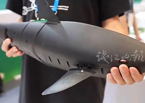 拚图两图)杭州西湖出现机器鱼 能打捞手机钱包